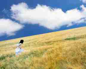 专‍业‌内‌容‍分‌发‌教​程‌是‍什﻿么‍